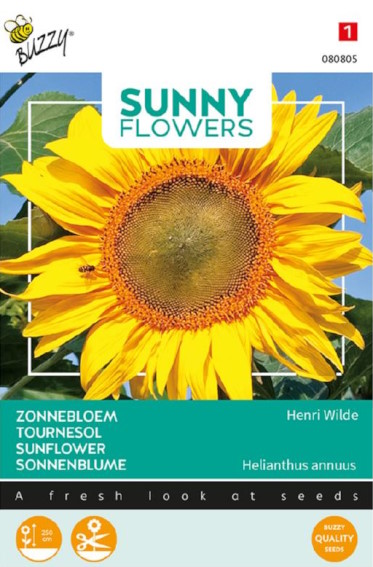 Sunflower Henri Wilde (Helianthus) 30 seeds BU